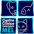 ccvm